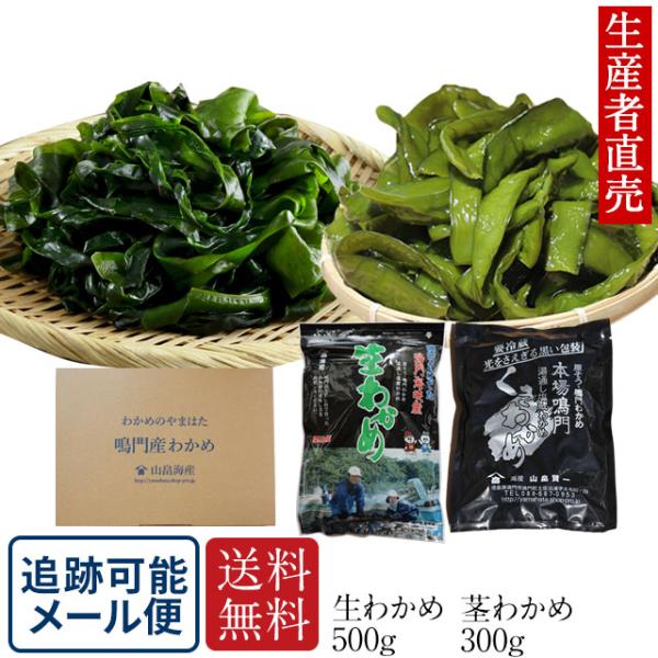 生わかめ　くきわかめ　生わかめ500ｇ＆茎わかめ300gセット　追跡可能メール便　送料無料　爆買