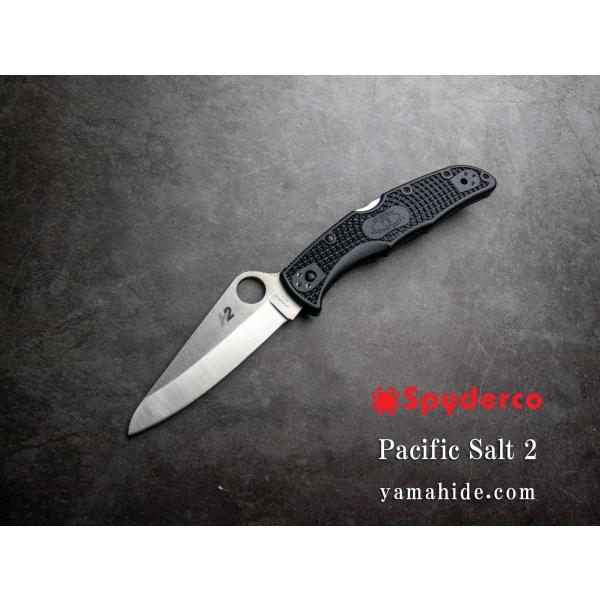 スパイダルコ C91PBK2 パシフィックソルト 2 直刃 ブラック 折り畳みナイフ Spyderc...