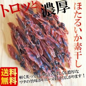 ほたるいか素干し　100g　珍味 おつまみ 酒の肴 無添加　日本海産ホタルイカ