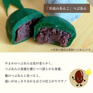 草もち 小倉あん 16個セット よもぎ お中元...の詳細画像2