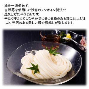AR1 ありがとうめん(平うどん)の詳細画像1
