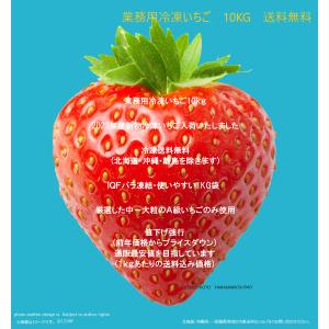 冷凍いちご(削り用にも)業務用10kg(1ｋｇｘ10入り)2営業日