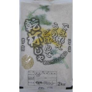 新米令和7年度産岡山県産新芽米胚芽米2ｋｇ