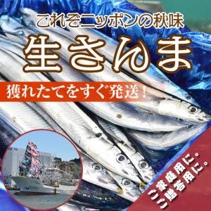 北海道・三陸沖産！獲れたて“中”生サンマ・生さんま・鮮サンマ　115〜136g 15〜16尾（2.0kg）