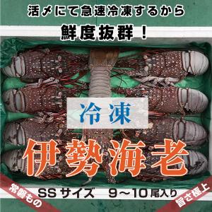 「活〆冷凍伊勢海老」”SSサイズ”　2ｋｇ　9~10尾入り　海老・伊勢海老・伊勢えび・伊勢エビ　冷凍　活〆