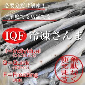 IQF冷凍サンマ・さんま・秋刀魚　“超特大”　160〜180ｇ　23尾（3.7〜4.0ｋｇ）｜yamakichi