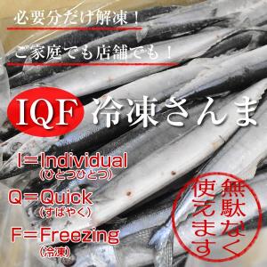 IQF冷凍サンマ・さんま・秋刀魚 3.7kg(30尾)