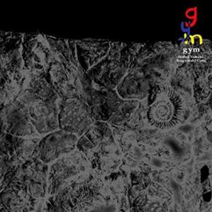 gym 「gym」（後藤次利＆山木秀夫）2003年