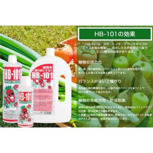 フローラ 天然植物活力液 液体HB-101 1...の詳細画像2