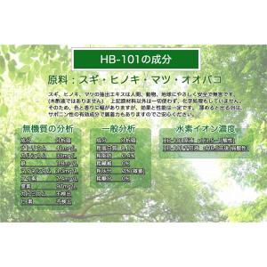 フローラ 天然植物活力液 液体HB-101 1...の詳細画像3