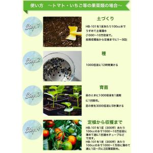 フローラ 天然植物活力液 液体HB-101 1...の詳細画像5