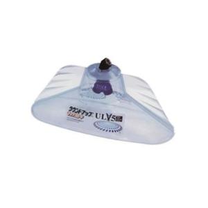 ECHO やまびこ 背負式動力噴霧機 薬液タンク10L エンジン式 [農業 園芸