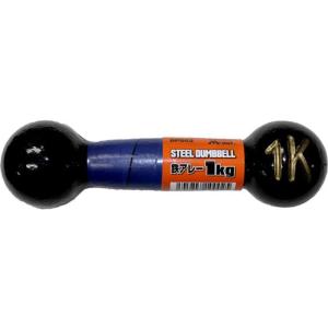 DANNO（ダンノ） 鉄アレー 1kg アレー アレイ トレーニング 筋力