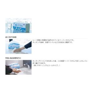 Life-do.Plus クリンクル 除菌ペー...の詳細画像1