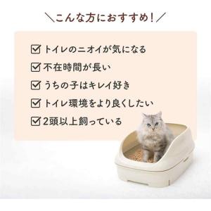 [今だけ!お試し品] エステー ニャンとも清潔...の詳細画像2