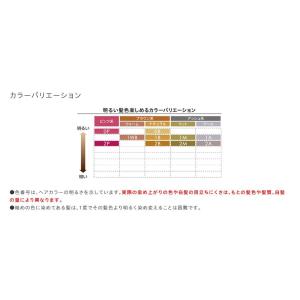 花王 ブローネ ルミエスト ヘアカラー [白髪...の詳細画像2
