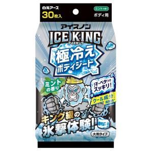 白元アース アイスノン ICEKING 極冷えボ...の商品画像