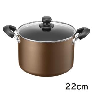 パール金属 寸胴鍋 21cm ガラス蓋付 ガス火専用 ふっ素加工 レッド