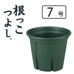 アップルウェアー 根っこつよし7号 [植木鉢 プランター 園芸 ガーデニング 観葉植物] グリーン 爆買