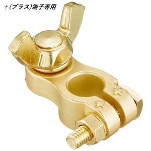 大自工業 バッテリーターミナル B端子蝶ネジ式  #39D+