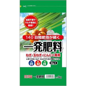 セントラルグリーン 一発肥料 ねぎ・玉ねぎ・にんにく専用 [園芸 家庭菜園 野菜 元肥 追肥] 1kg｜yamakishi