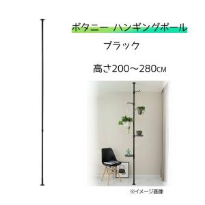 リッチェル ボタニー ハンギングポール (ポールのみ) [園芸 ガーデニング 植木鉢 プランター スタンド 突っ張り] ブラック