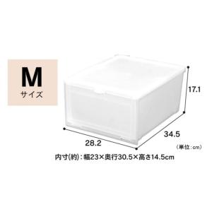 アイリスオーヤマ シューボックス Mサイズ [靴 収納 シューズ ハイヒール ショートブーツ クローゼット] MSB-M ナチュラル