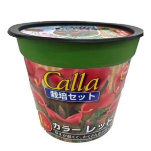 アタリヤ農園 お手軽ポッドガーデン カラーレッド [栽培セット 花 ガーデニング 園芸] 1球入 爆買