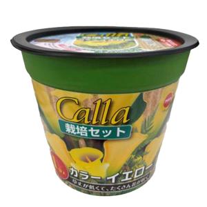 アタリヤ農園 お手軽ポッドガーデン カラーイエロー [栽培セット 花 ガーデニング 園芸] 1球入 爆買