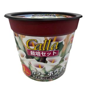 アタリヤ農園 お手軽ポッドガーデン カラーホワイト [栽培セット 花 ガーデニング 園芸] 1球入 爆買