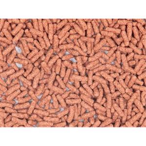 キョーリン ひかりイモリ [イモリ専用飼料 ス...の詳細画像2