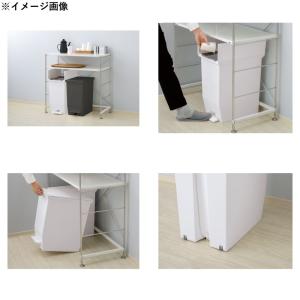 リス H&H 棚下で使える ペダル ダストボッ...の詳細画像2