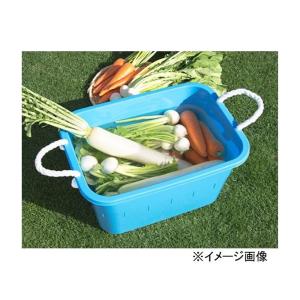 トンボ 角型タブ(ひも付) 36型[たらい ア...の詳細画像1