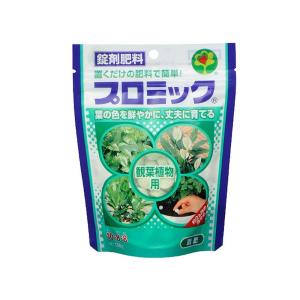 ハイポネックス ジャパン プロミック 観葉植物用 150g｜yamakishi