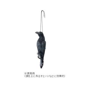 ミツギロン イヤガラス (カラス・防鳥用品・忌避用品) EG-38｜yamakishi