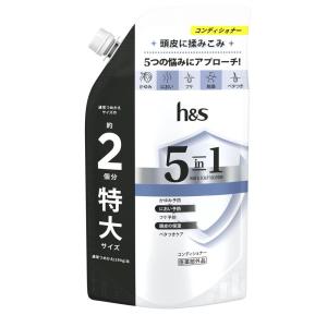 P&G h&s 5in1 コンデイショナーつめかえ 特大サイズ [ヘアケア かゆみ におい フケ予防 頭皮 保湿 ベタつき] 560g [医薬部外品]｜yamakishi