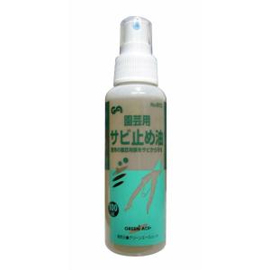 GA スプレー式園芸用サビ止め油 100ml No.854
