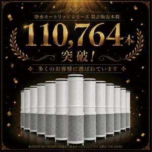 SEPZS210PC 浄水カートリッジ PZS...の詳細画像4