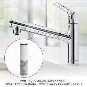 SFC0002T 浄水器 カートリッジ BSC...の詳細画像5