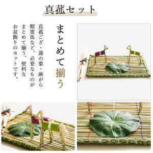 初盆セット 新盆セット お盆用 提灯 3点 セ...の詳細画像5