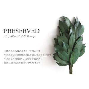 神具 榊 プリザーブドフラワー 一対 神棚用 ...の詳細画像1