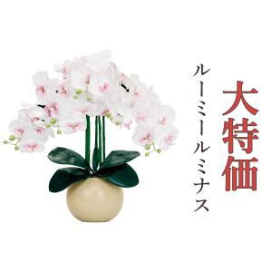 神棚 神具 仏具 やまこう ルーミールミナス 胡蝶蘭 豪華5本立て 神棚 神具 仏具 やまこう ルーミールミナス 胡蝶蘭 豪華5本立て