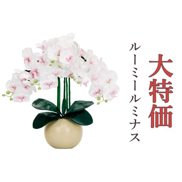 在庫限り 盆提灯 新盆 初盆 ルーミールミナス 胡蝶蘭 豪華5本立て 限定色 アイボリー コードレス...