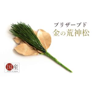 神具 金の荒神松 造花ではない天然の葉 プリザーブド荒神松 神棚用 お供え 国産｜yamako-showten