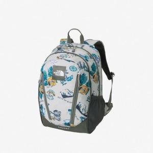 THE NORTH FACE（ザ ノースフェイス） 【2025春夏】THE NORTH FACE