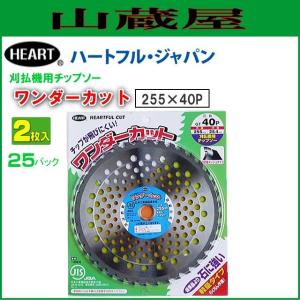 ヤマホ 動噴用噴口 ハイパワークリーン2型 G3/8メス トラクター、畜舎
