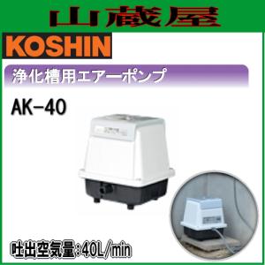 工進（KOSHIN） インバーター発電機 GV-16i (GV-16i-AAA-4) 定格出力