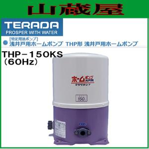 寺田ポンプ バッテリー水中ポンプS24D-100/直流24V(簡易海水用) : 山