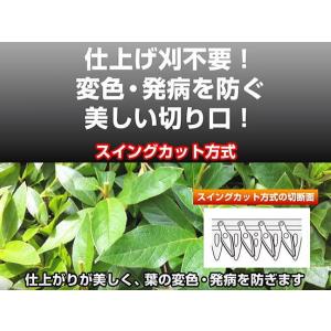アルスコーポレーション 電動バリカン DKW-...の詳細画像5
