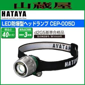 LED照明 ハタヤ 45W LED作業灯 RXL-5W 屋外用 全光束5400ルーメン